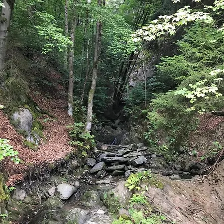 Silbach Appartement Winterberg