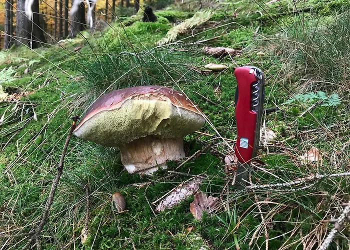 Silbach ヴィンターベルク