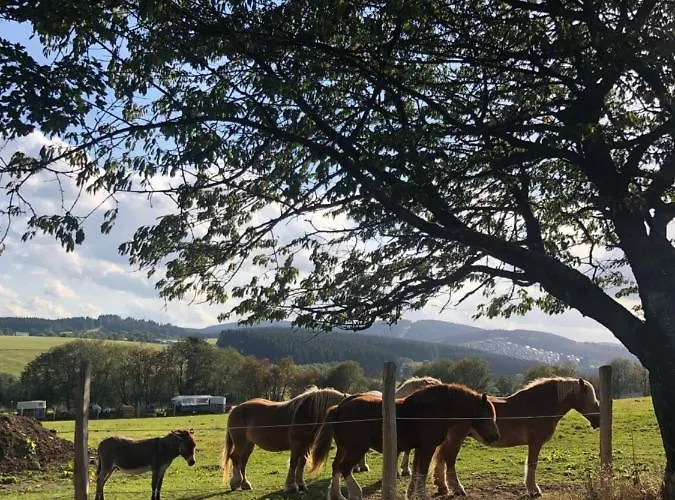 Appartement Silbach Winterberg