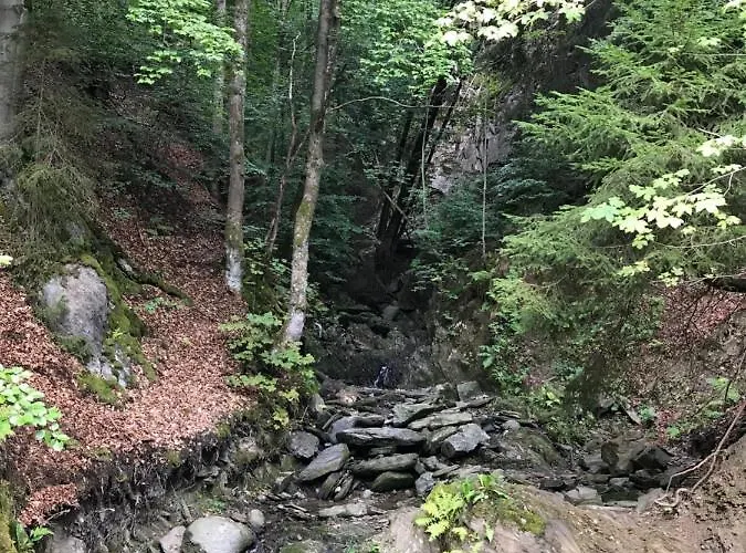 Silbach アパート ヴィンターベルク